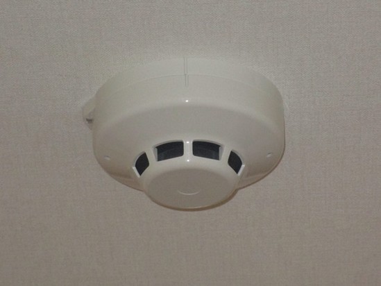 アルファリビングの見張り番