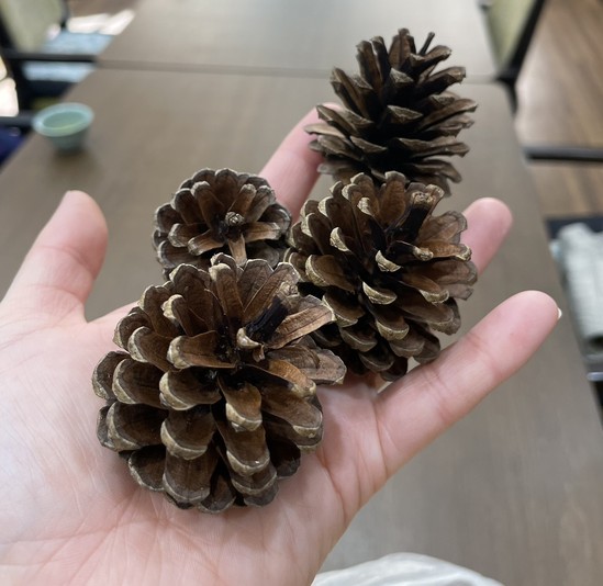 ★野田デイと物々交換★