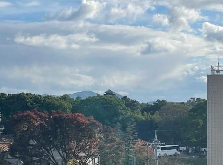 夜には光るお宮さん　