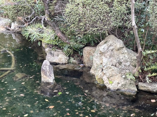 ★大寒波の岡山★