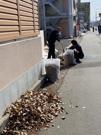 クスノキの落ち葉掃き☆彡