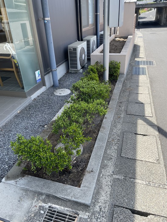 ★花壇再生プロジェクト★①