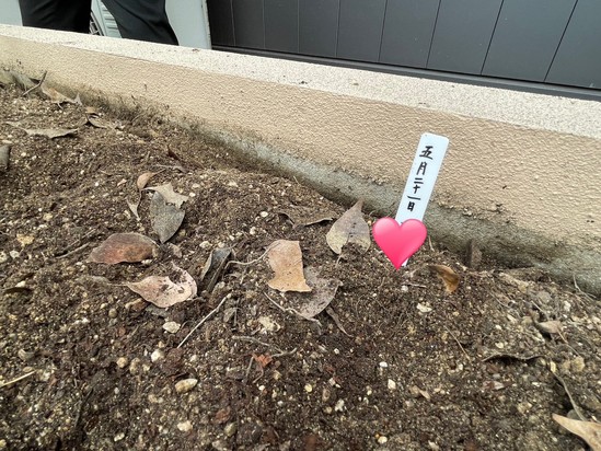 ★花壇再生プロジェクト★③