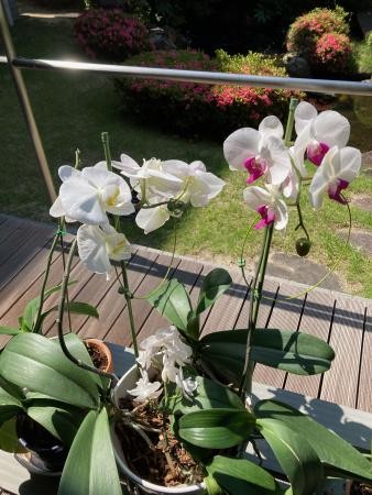 ☆美しい癒し☆