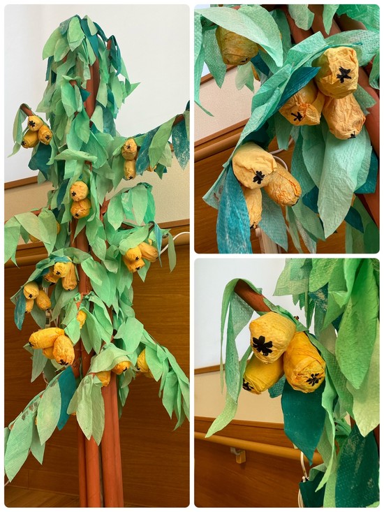 ビワの木・・・。