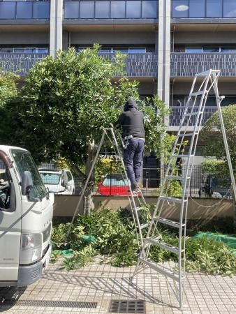 きれいさっぱりになりました。　