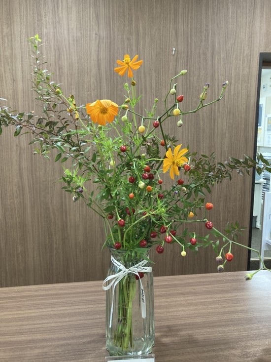 ☆hana han定期便☆