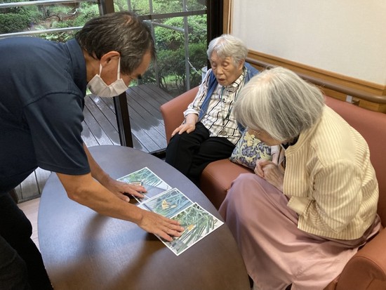 季節外れの旅立ち♬