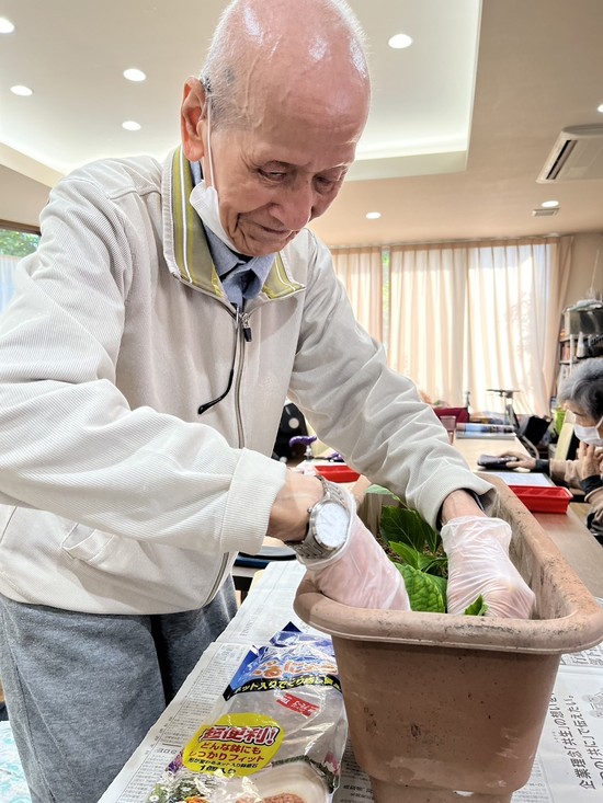 ★紫陽花の挿し木を行いました★