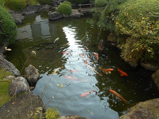 新しい家族(*^^)v