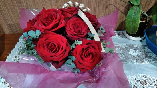 後楽園に咲くお花がきれいな理由とは・・・？