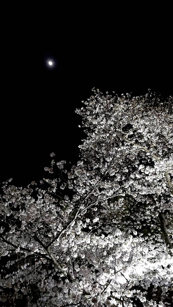 ★今週もスタート★