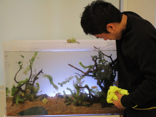 クリスマスのその後・・・