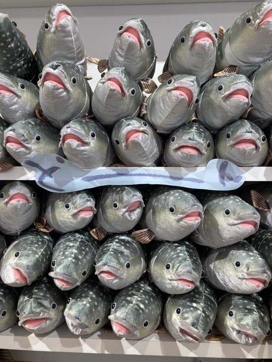 昨日の私・・・