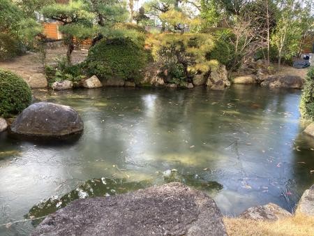 ☆庭園・・寒波です☆