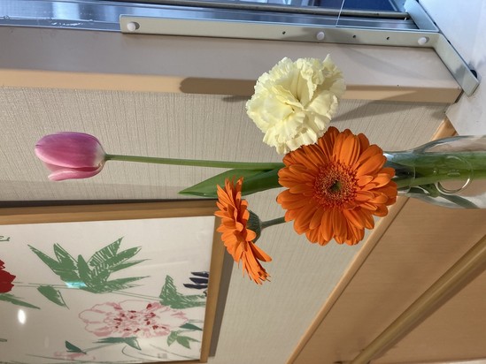 お花をいただきました