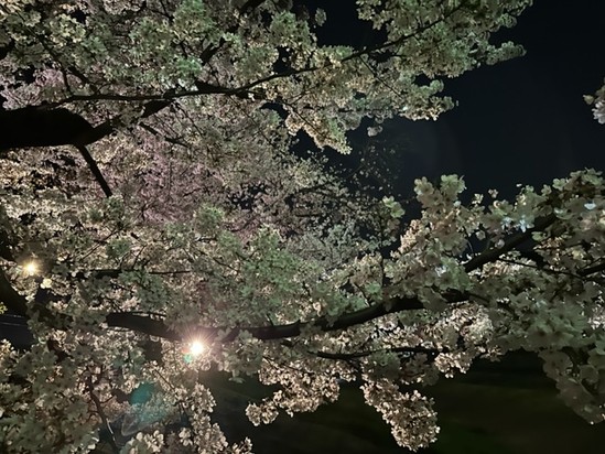 ＊しじみの独り言＊26