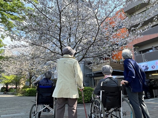 お花見　第2弾