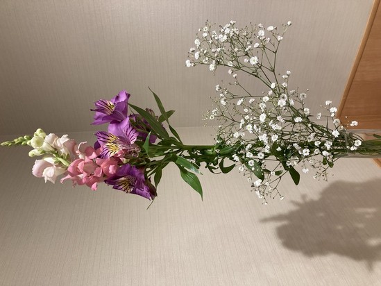 またまたお花をいただきました