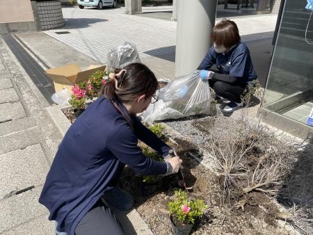☆つつじを植えました☆