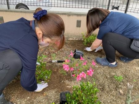 ☆つつじPart2☆