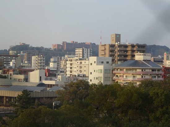 施設からの眺め