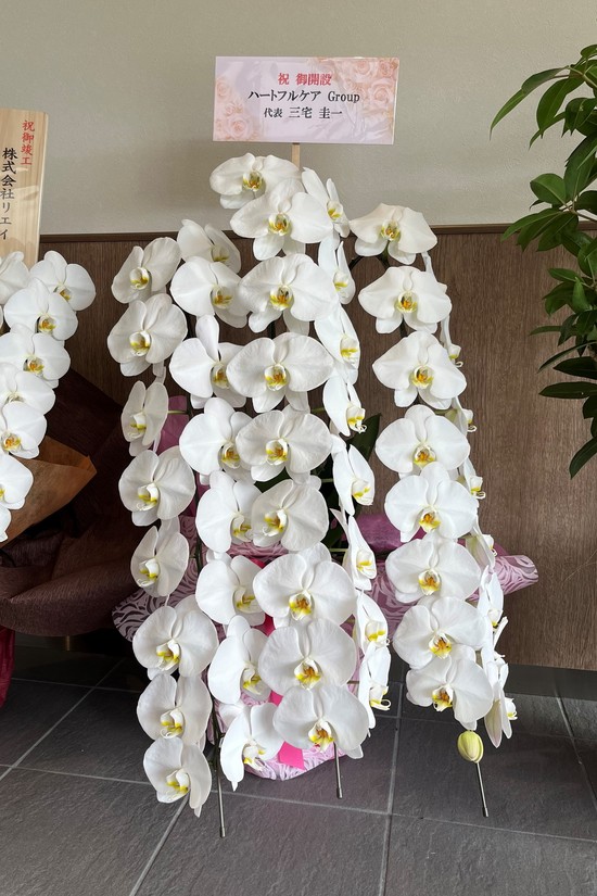 ハートフルケア様　ありがとうございます(*^^*)