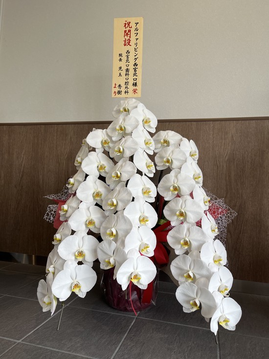 西宮北口歯科口腔外科様　ありがとうございます(*^^*)