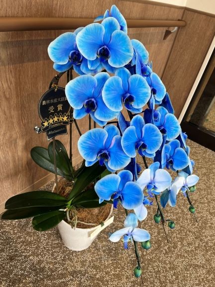 つだクリニック様　ありがとうございます(*^^*)