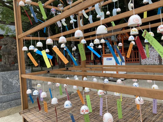 夏の思い出で回想法