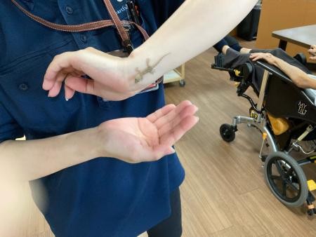 ヤモリ参上！！