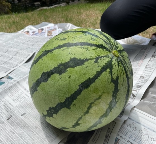 ☆スイカ割りました♡☆