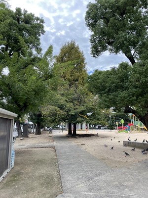 秋深まる中でのリハビリテーション　