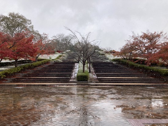 土日の私・・・その④