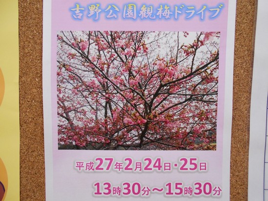 観梅ドライブのお知らせ