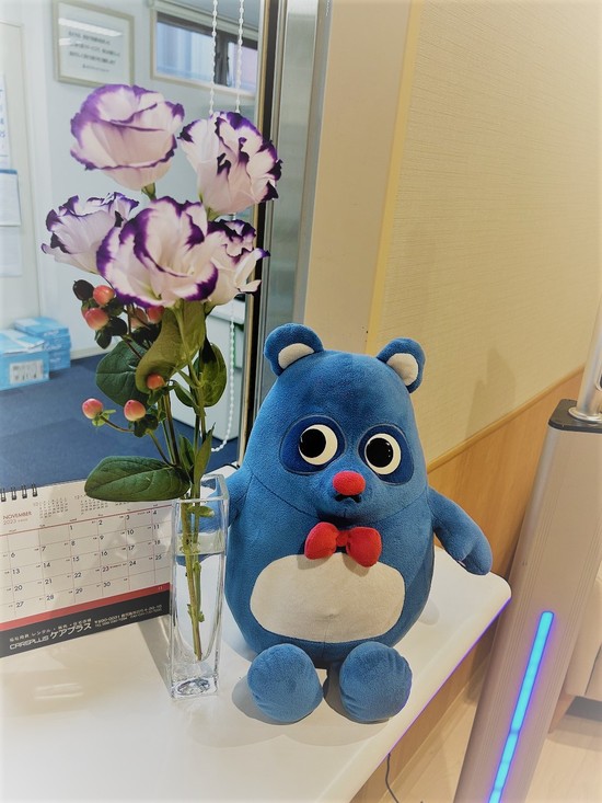 綺麗なお花を頂きました❀