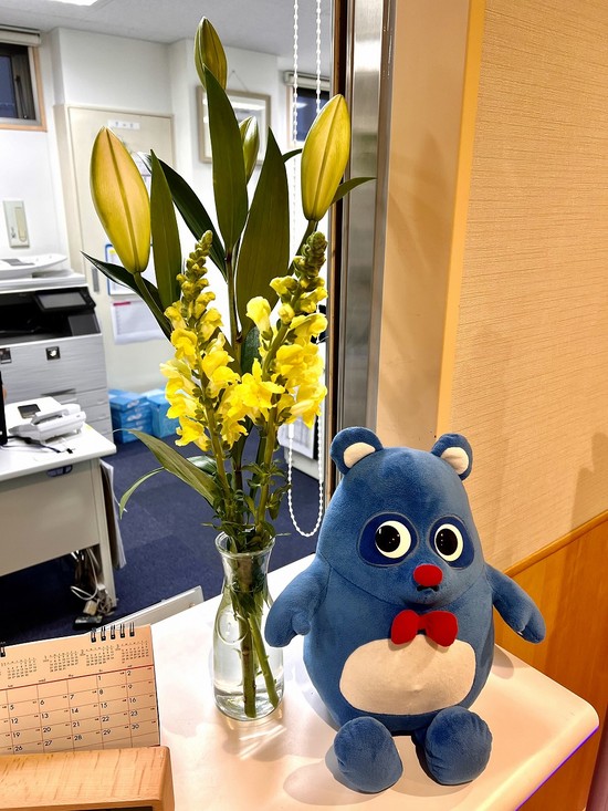 綺麗なお花が(*´ω｀)