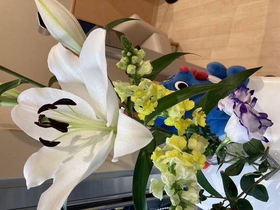 花が咲きました