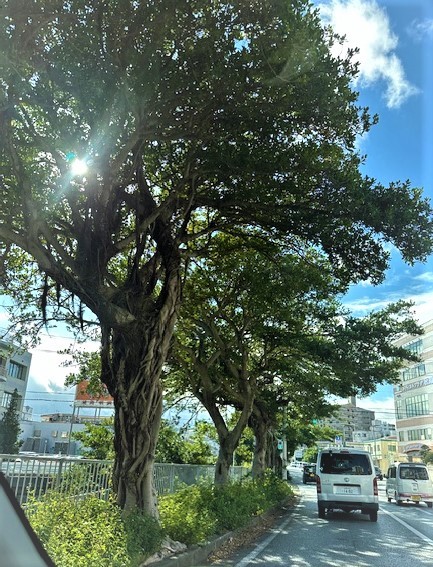 すぐそばにいるよ❕～①