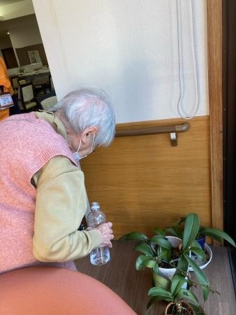 ☆楽しみの水やり☆