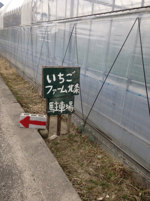 イチゴ狩り（番外編）