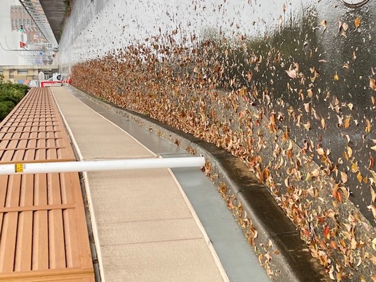 早朝環境整備の実施！！