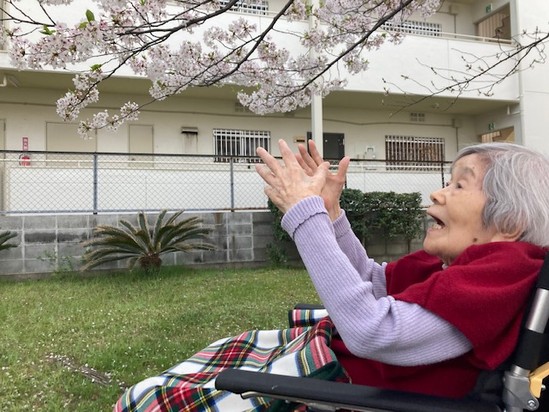 みんなでお花見(*^^)v