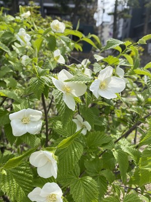 お話を聞いて…