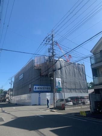 やっと雨が上がりました