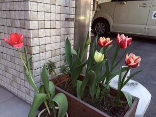 暖かさに誘われて・・・