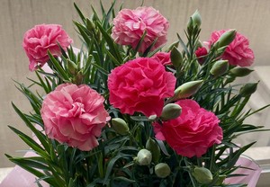 感謝の気持ちを込めて