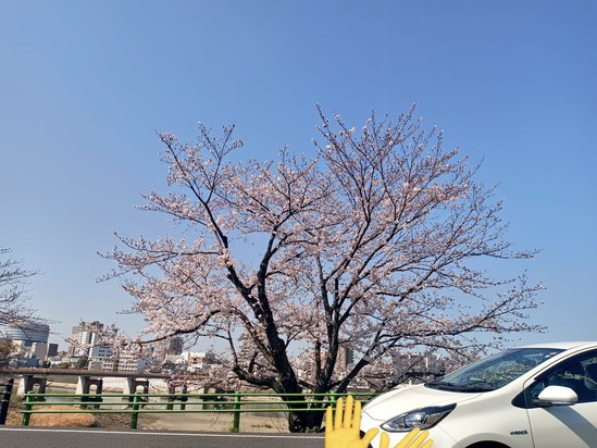 私がアルファリビングの訪問看護で働く理由