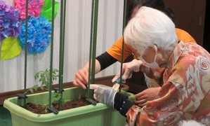 園芸療法実習～第3回目～