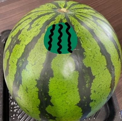 ★すいか割りを行いました★